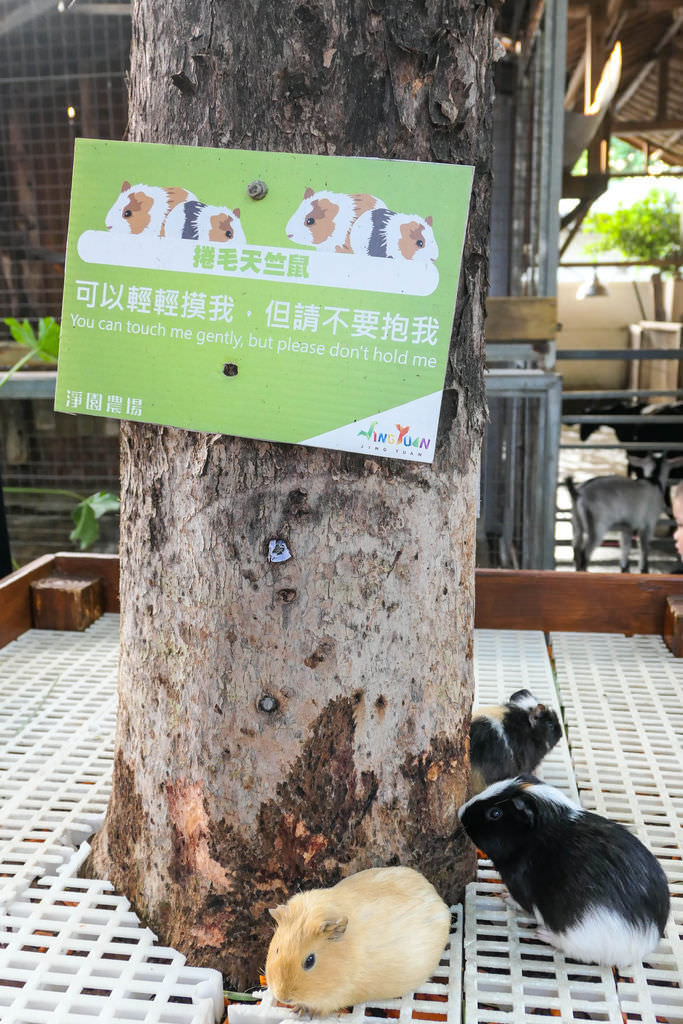 修-1120424.jpg