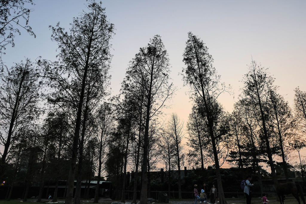 修-1120537.jpg