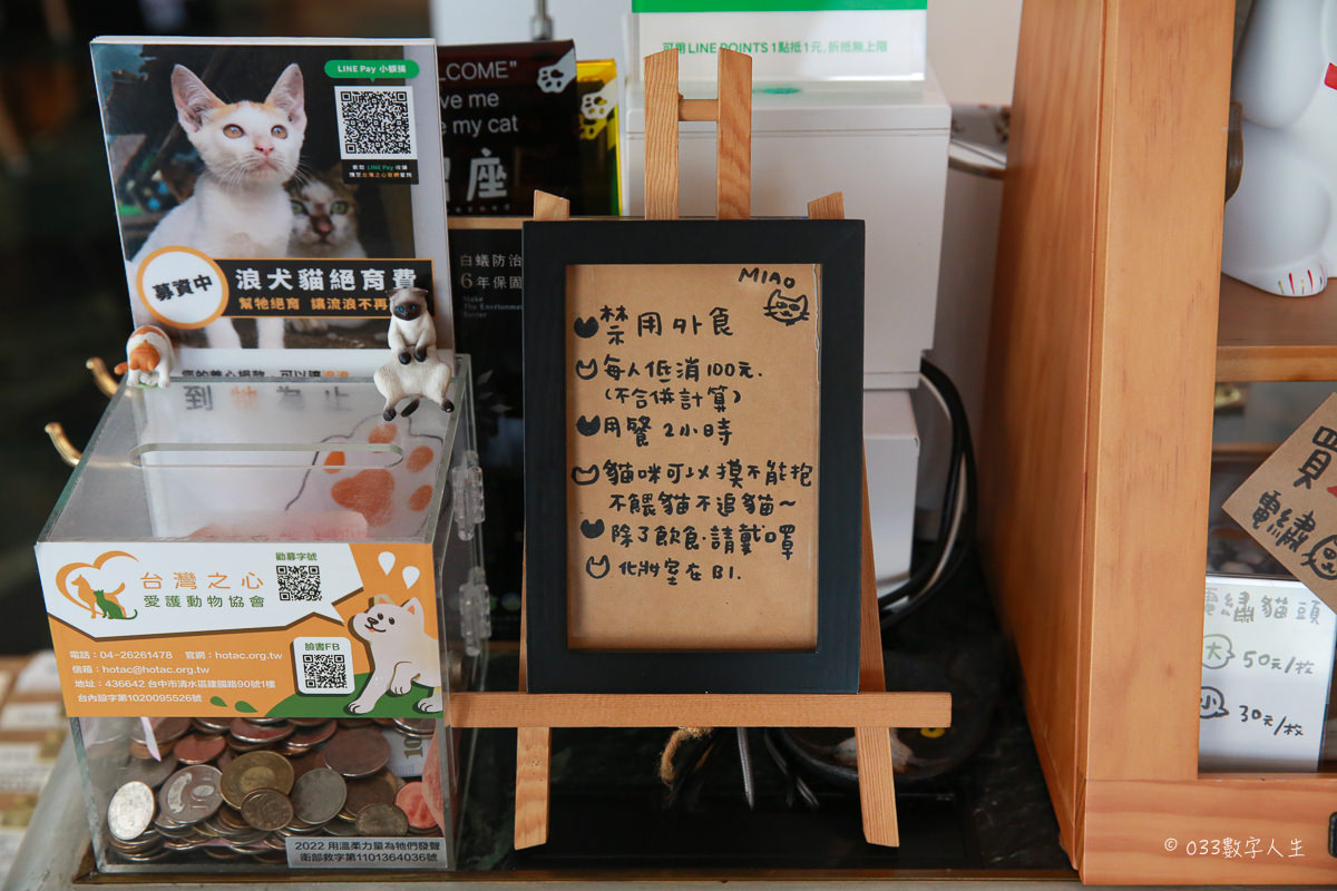 養一隻貓吧｜高雄寵物餐廳｜高雄貓咪餐廳 6